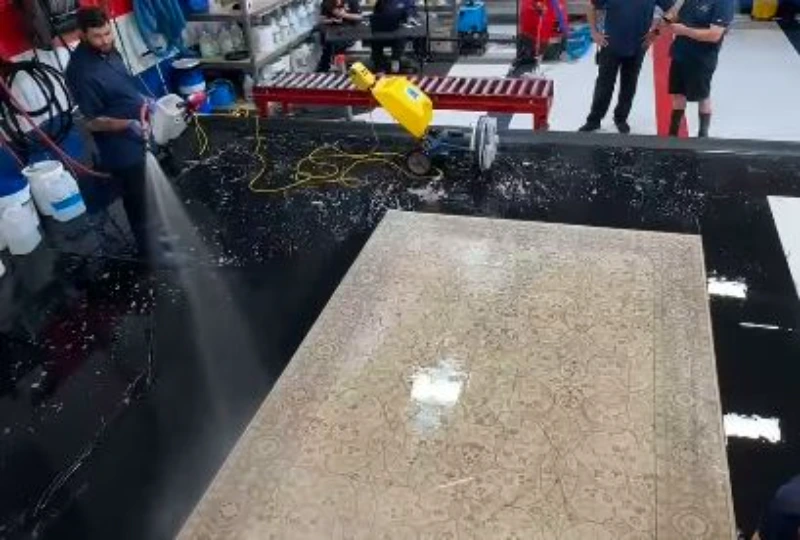 Contact Carpet Shield Bend